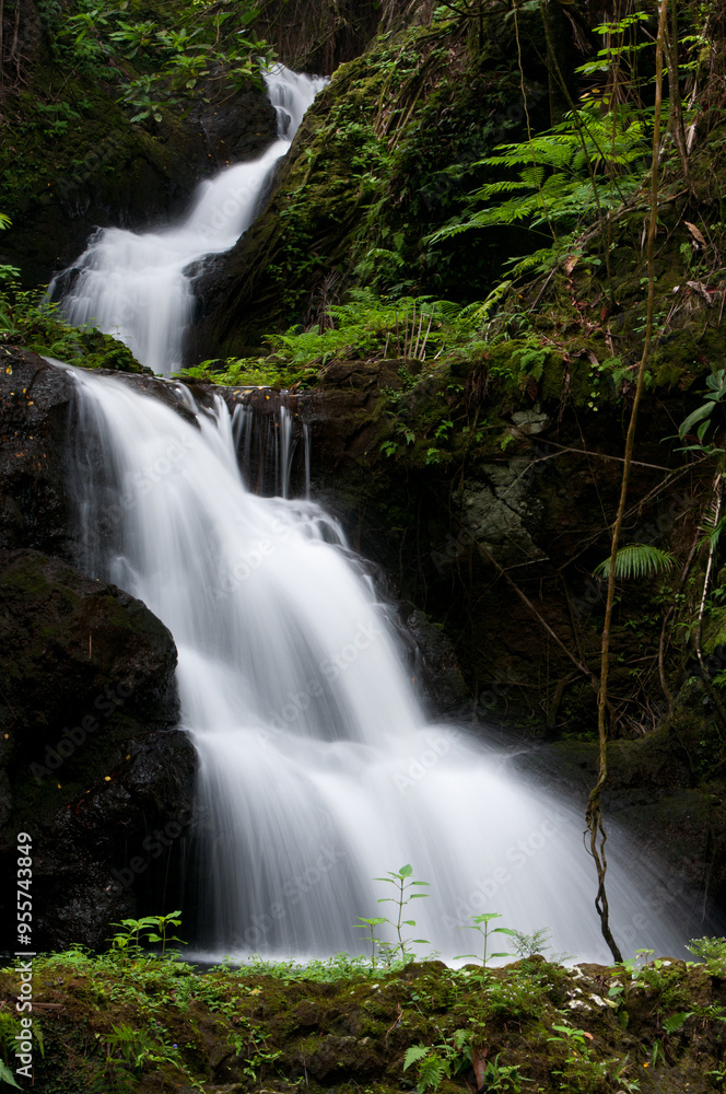 Fototapeta premium Waterfall on Hawaii Big Island