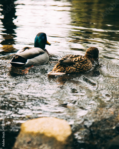 Obraz w ramie Gdańsk