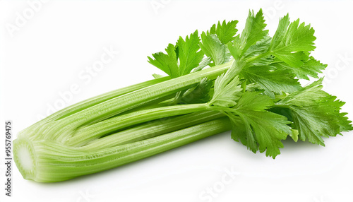 celery isolated on white background, clipping path, full depth o photo