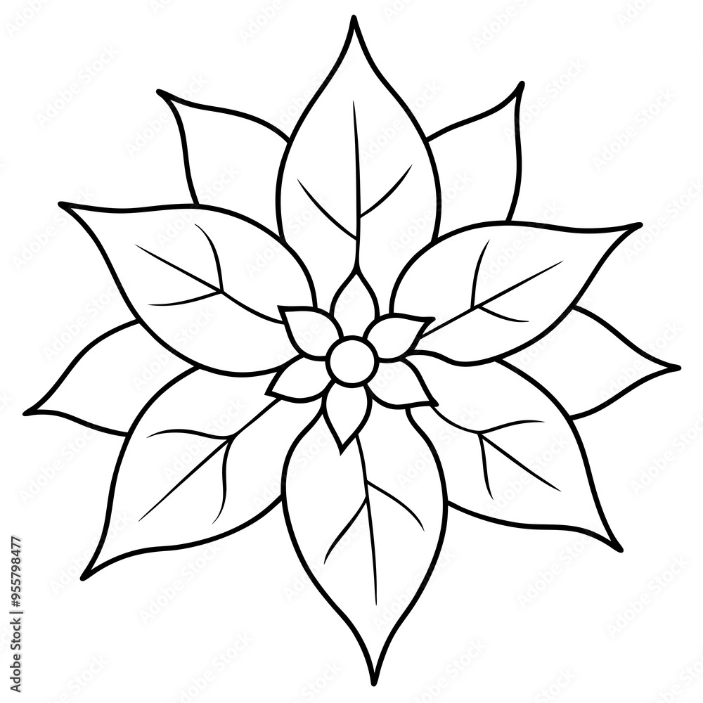 illustration of a flower illustration of a flower