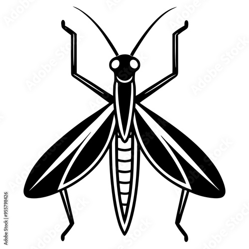 dragonfly illustration