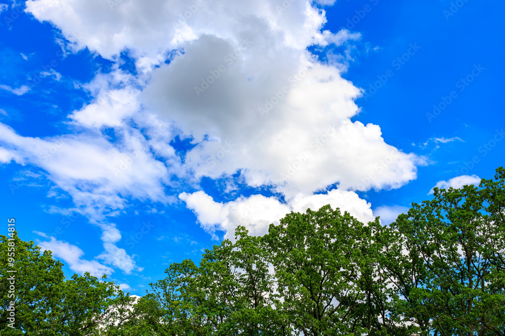 Fototapeta premium The sky is blue and cloudy, background