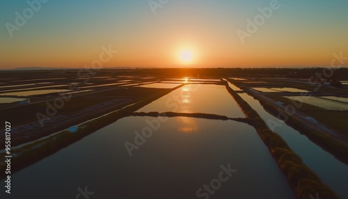 Field farm and sunset plant orange horizone line countryside photo