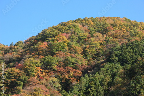 秩父の風景。浦山ダム。