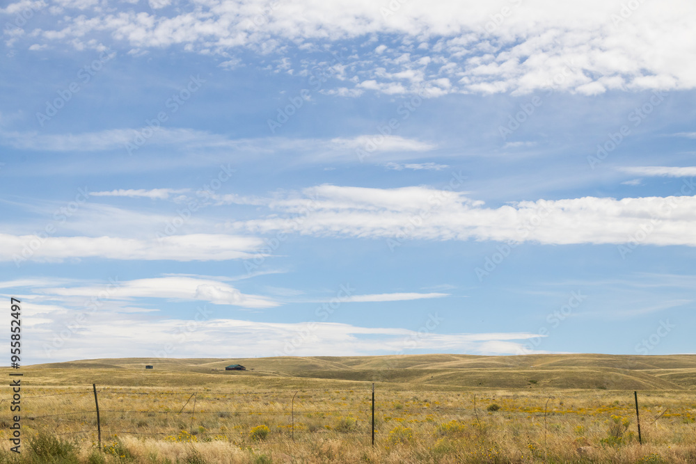 Obraz premium Sky and field landscape