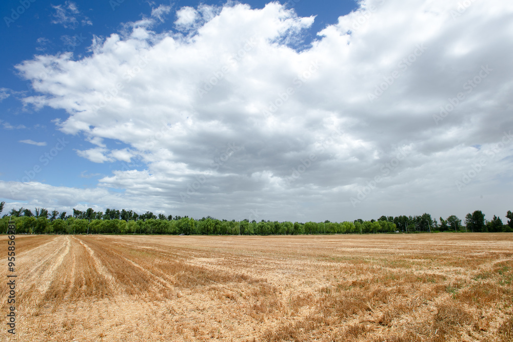Fototapeta premium Arable land resources under blue sky and white clouds