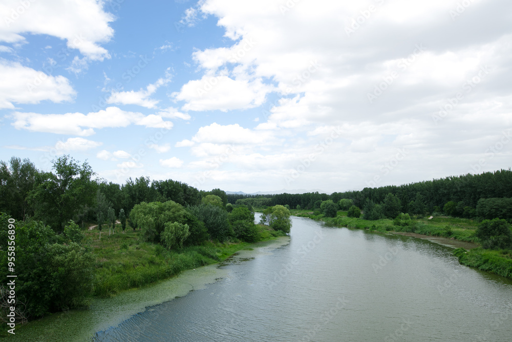Beijing Wenyu River in summer Beijing Wenyu River in summer