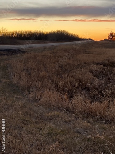 sunset in the field