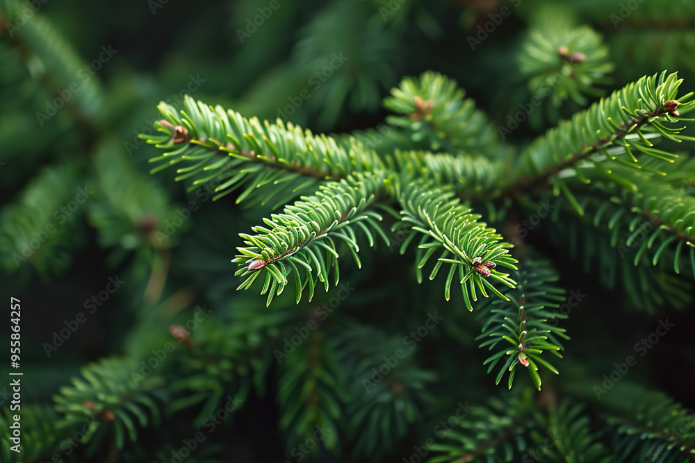 A close up of a tree branch with yellow tips, generative ai image, A close up of a tree branch with yellow tips, generative ai image,