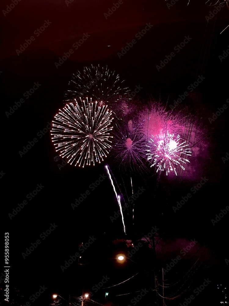 Experience the magic of a stunning fireworks display lighting up the night sky. Experience the magic of a stunning fireworks display lighting up the night sky.