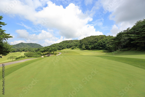 Yeoju-si, Gyeonggi-do, South Korea - July 31, 2021: Summer view of lawn with green at Castle Pine Golf Club photo