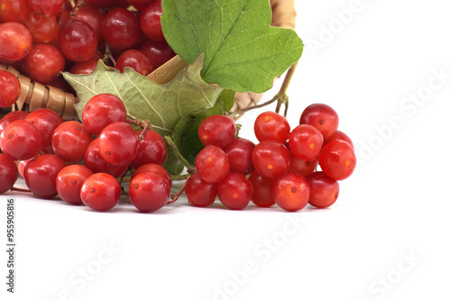 Close-up of fresh red guelder rose berries showcasing their rich color and texture photo