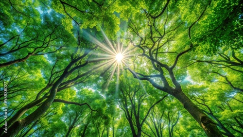 Sunlight streaming through leaves of trees creating a dappled canopy, sunlight, streaming, leaves, trees, dappled, canopy