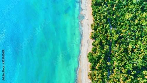 Wallpaper Mural Relax on wild sea beach thailand with palm trees. Travel to phuket island. Idyllic tropical sea video, copy space. Beach with white sand and turquoise clear sea water with waves and palm forest. Torontodigital.ca