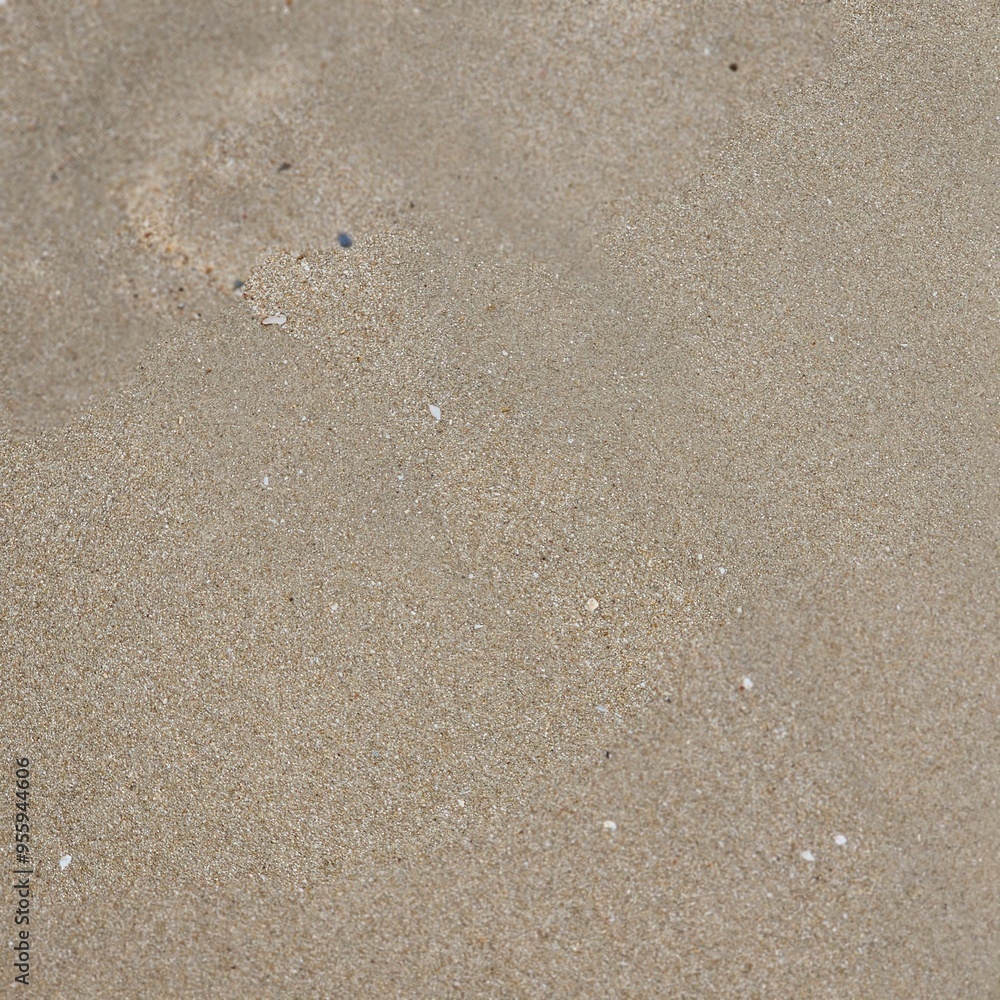 go to the seaside Take a walk along the smooth white sand beach. go to the seaside Take a walk along the smooth white sand beach.