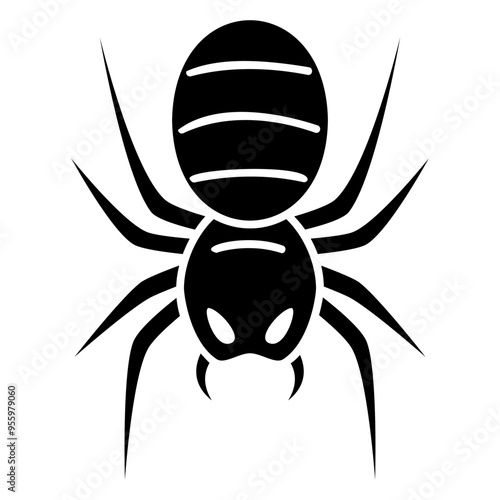 spider web glyph icon