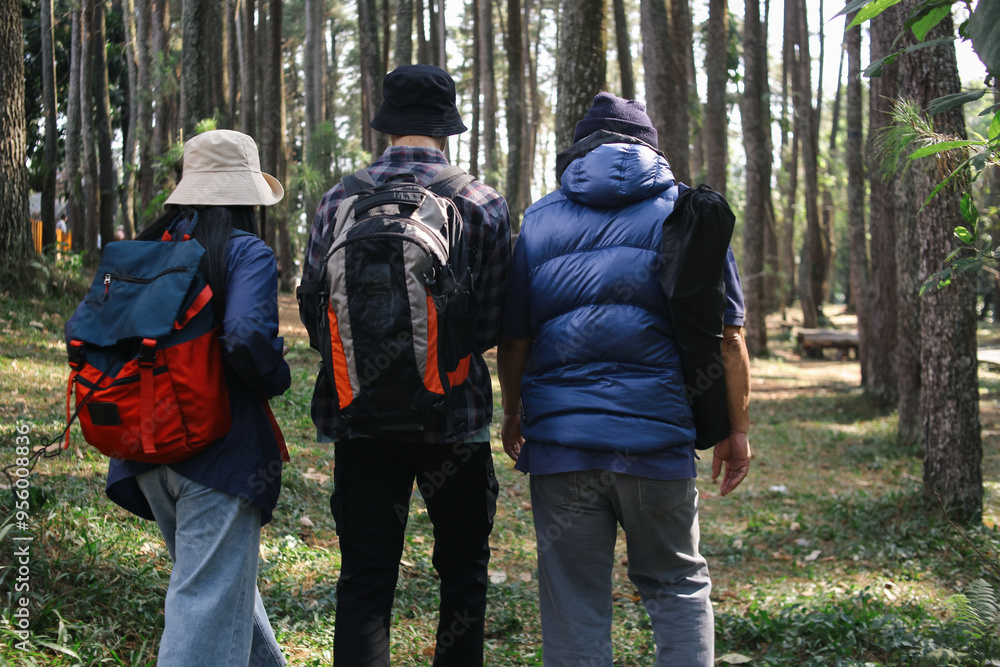Rear View of Family Member Walking in The Pine Forest Together Rear View of Family Member Walking in The Pine Forest Together