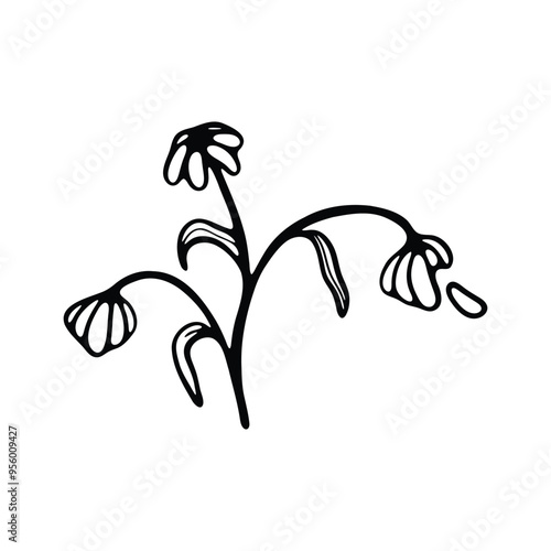 Obraz na plátně A minimalistic black and white line drawing of a set of wilting flowers on delicate stems