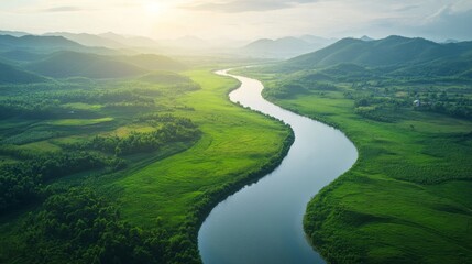 Leinwandbilder Olivgrün A serene river winding through a green landscape  © Gummyz