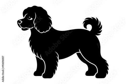 Bichon Frise Dog Silhouette, Vector Illustration, Clipart photo