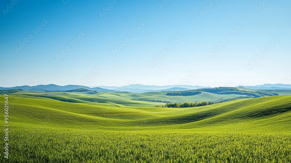 A scenic view of rolling green hills under a clear blue sky A scenic view of rolling green hills under a clear blue sky