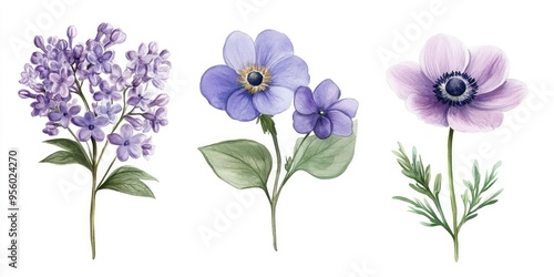 Watercolor set of lilac anemone and bell flowers Hand drawn botanical illustration