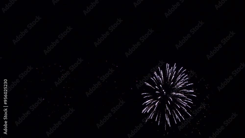 Abstract Firework on black night sky background, 4th of July independence day, New Year eve, Christmas 2024, Diwali Holiday concept. High quality 4k chromakey Cinematic Slow Motion video Abstract Firework on black night sky background, 4th of July independence day, New Year eve, Christmas 2024, Diwali Holiday concept. High quality 4k chromakey Cinematic Slow Motion video