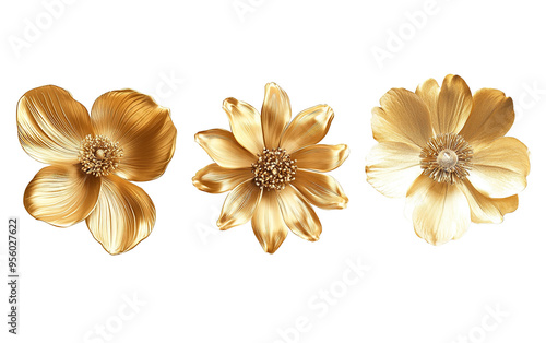 Set gold flower on transparent background, png	