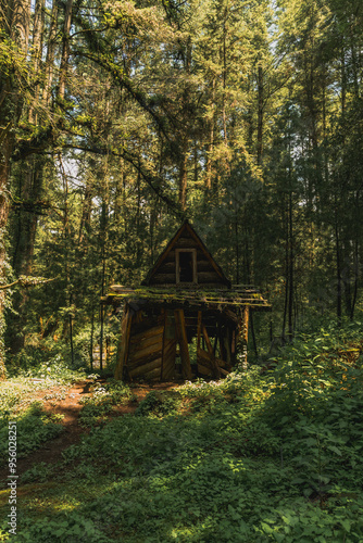 Cabaña abandonada tenebrosa en medio del bosque