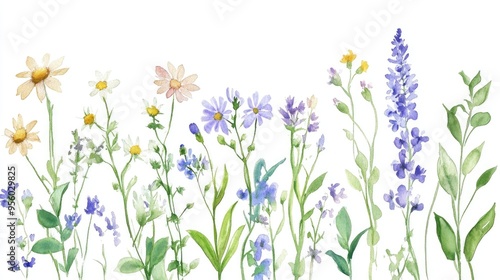 Watercolor illustration of wildflower and herb compositions