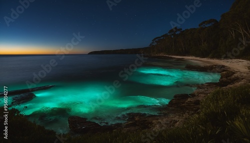 Bioluminescent Beaches (Various locations): Some beaches around the world, like Mosquito Bay in Vieques, Puerto Rico, 