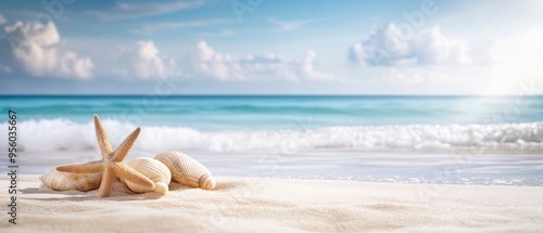 Summer beach with strafish and shells photo