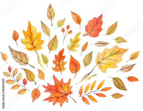 Illustration with autumn leaves, isolated on transparent background