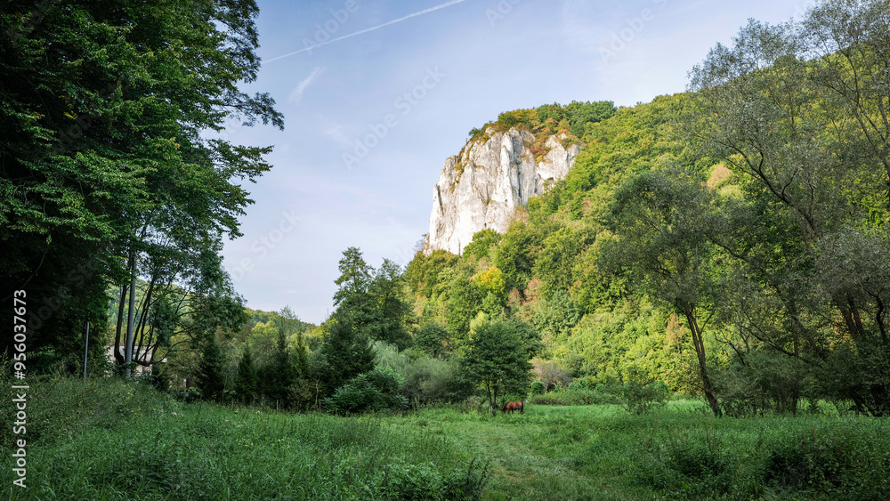 Beautiful landscape. The setting sun illuminating the limestone rocks. Bedkowska Valley. Jura Krakowsko Czestochowska. Poland