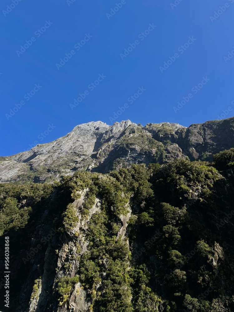 Rocky Mountain Edge With Beautiful Greenery Rocky Mountain Edge With Beautiful Greenery