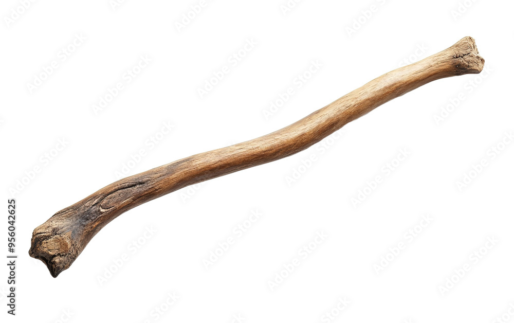 Wooden curved snag stick on transparent background, png Wooden curved snag stick on transparent background, png