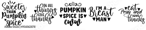 Vibrant Thanksgiving Bundle Calligraphic Lettering, Inscriptions Bundle Vector Illustration for Packaging, Presentation, Greeting Card