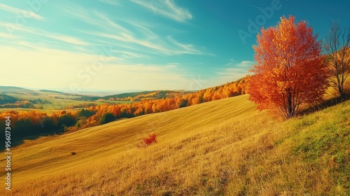 Golden Grassy Hillside With Autumn Trees