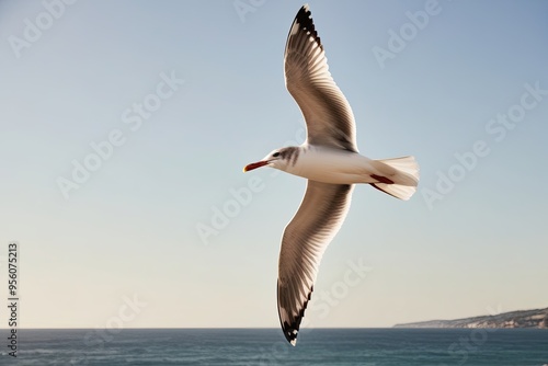 Colorful Seagull Soaring Beautifully Under Bright Coastal Sky photo