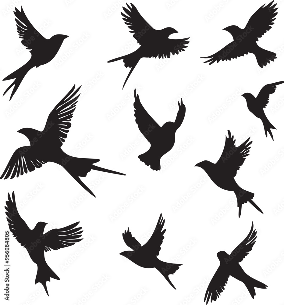 Obraz premium Set of black birds silhouette vector black birds