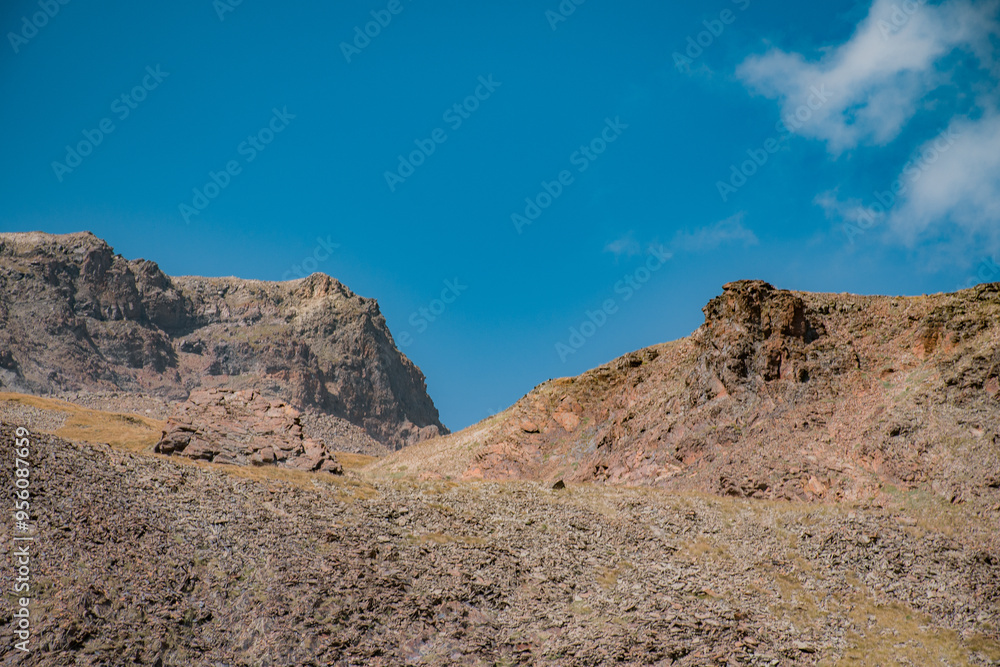 landscape in the desert landscape in the desert