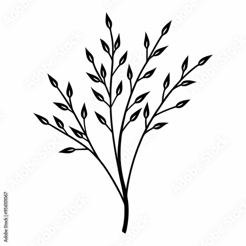 Willow tree silhouette vector illustration