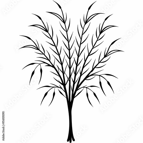 Willow tree silhouette vector illustration