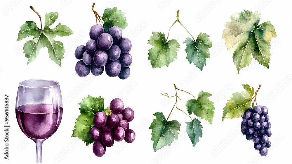 Fototapeta premium Watercolor Grapes Wine Glass and Vine Leaves