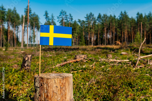 UN Climate Change Conference. Sweden Deforestation. IKEA. Ecological disaster, deforestation in Vasterbotten and Jamtland. 2024