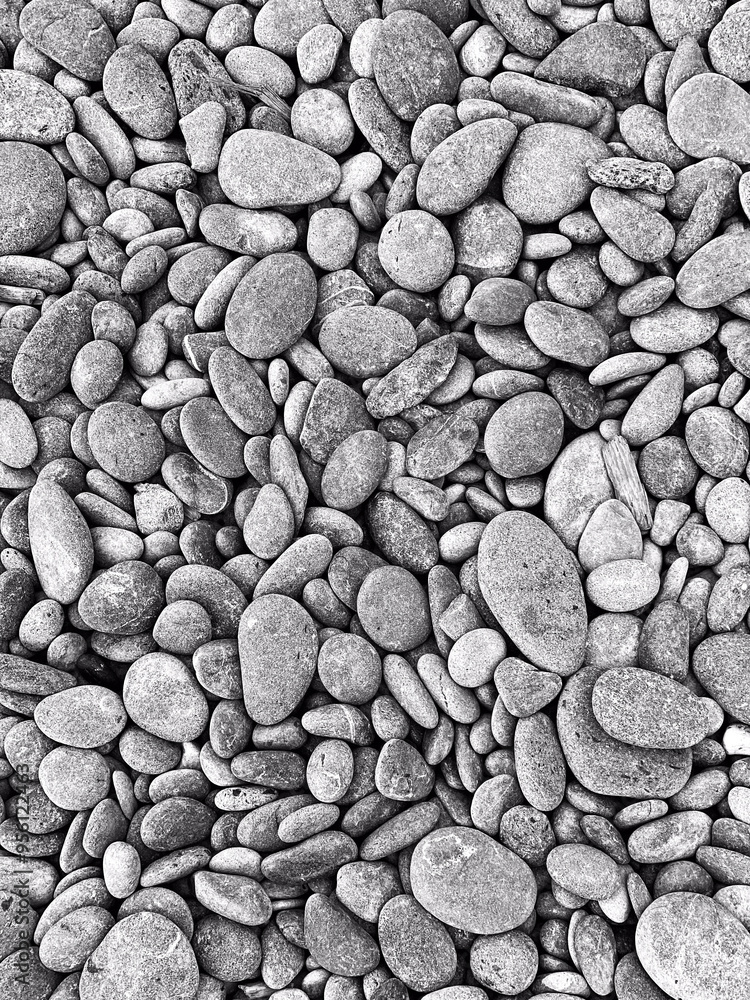 Black and White River Rocks, B&W, smooth rocks, lake stones, round stones, skipping stones, nature, design, calming, soft, round, flat stones, series, collection Black and White River Rocks, B&W, smooth rocks, lake stones, round stones, skipping stones, nature, design, calming, soft, round, flat stones, series, collection