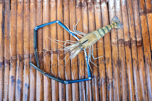 Big Headed fresh Giant river prawn - Macrobrachium rosenbergii show on the bamboo table. photo