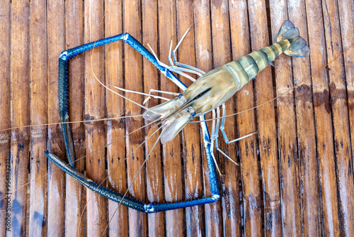 Big Headed fresh Giant river prawn - Macrobrachium rosenbergii show on the bamboo table. photo