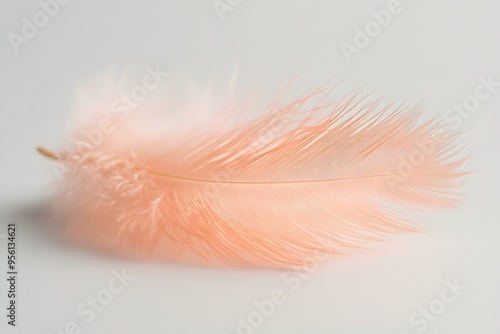 Close-up of a soft pink feather resting on a smooth white surface, evoking feelings of gentleness, softness, and tranquility. Ideal for themes of lightness and beauty.