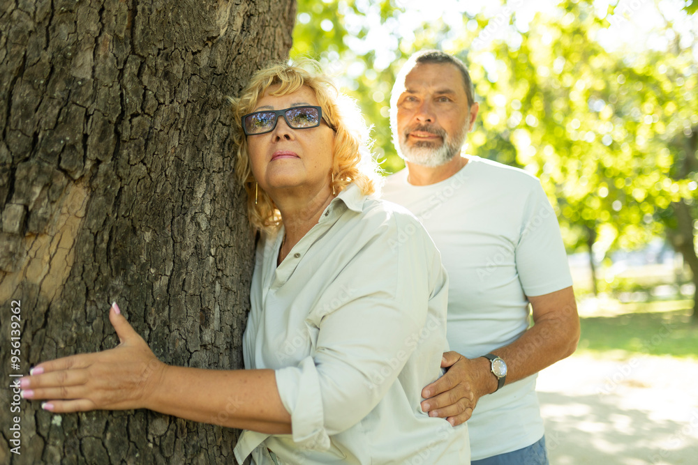 Obraz premium Senior couple hugging tree enjoying sunny day in park